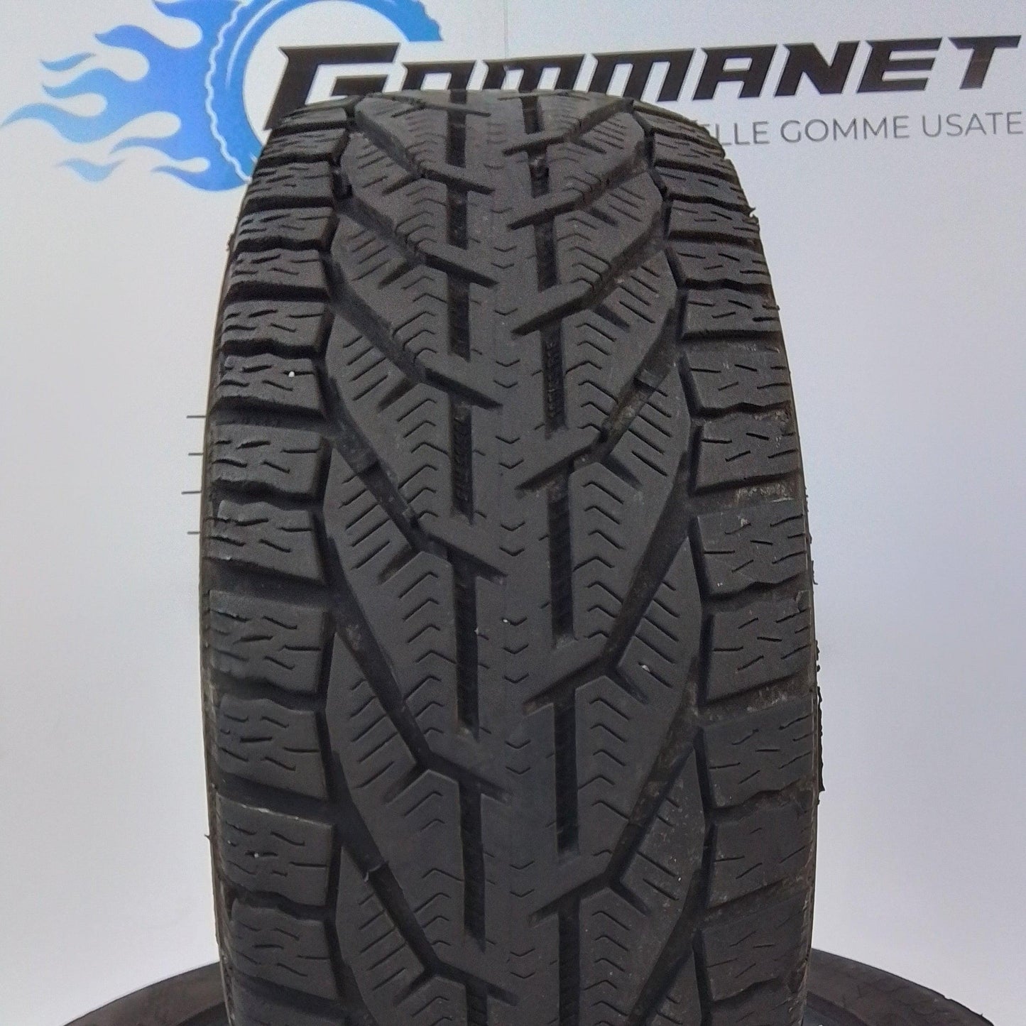 2 Taurus Winter (Michelin) 225 45 17 94V