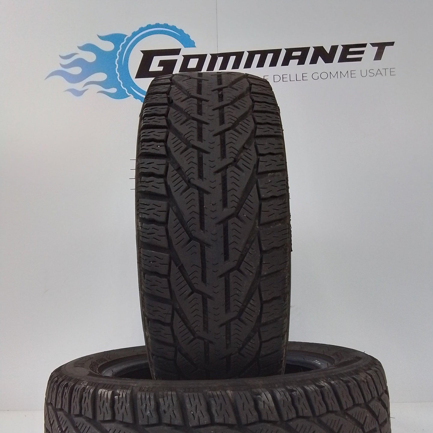 2 Taurus Winter (Michelin) 225 45 17 94V