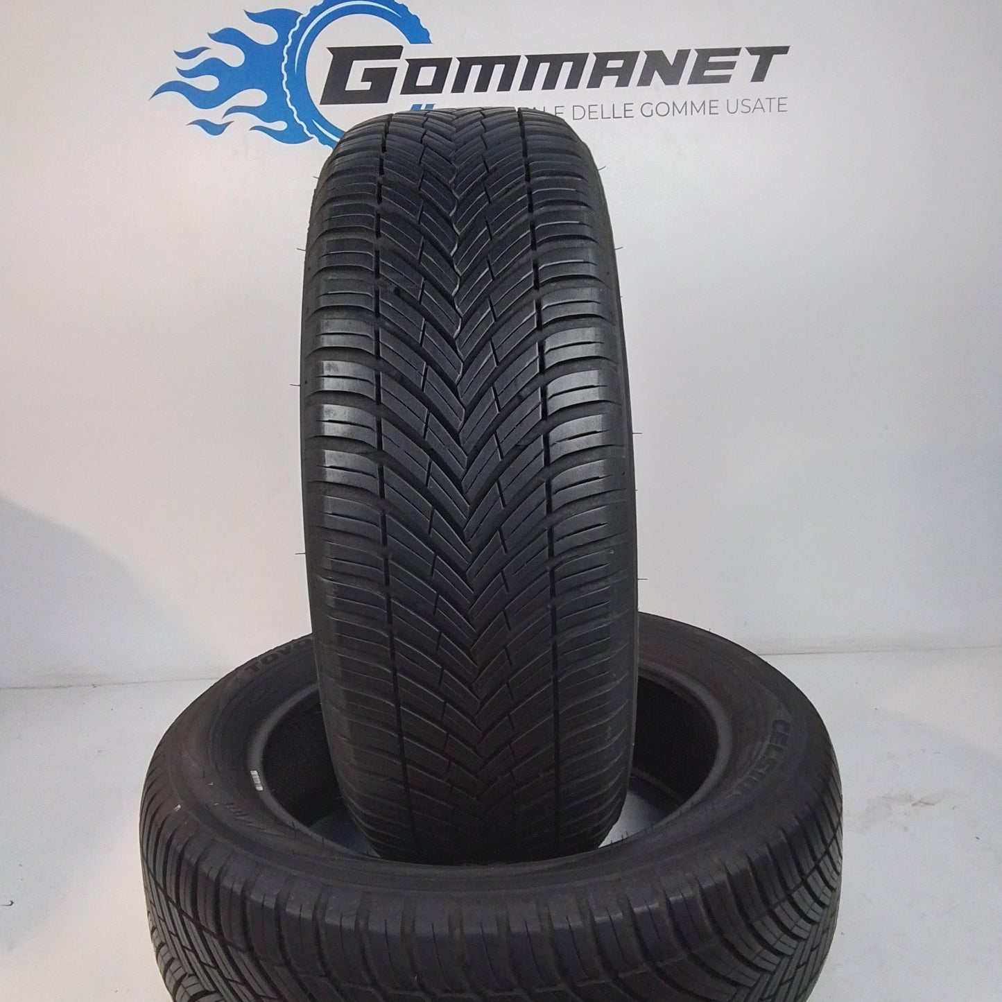 2 Toyo Tires 225/55 R19 Celsius AS2 99V